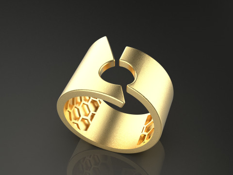 A100-38-rings 3D Принт Модель
