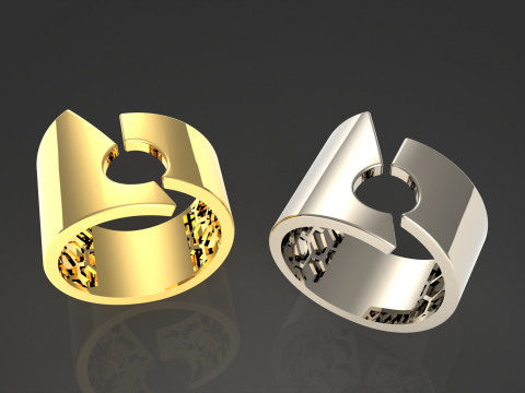 A100-38-rings 3D Принт Модель