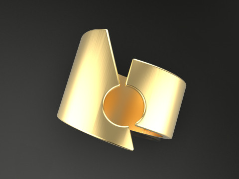 A100-38-rings 3D Принт Модель