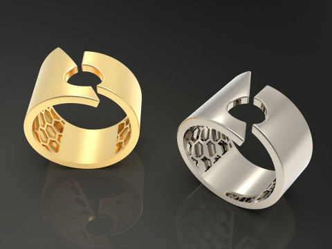 A100-38-rings 3D Принт Модель