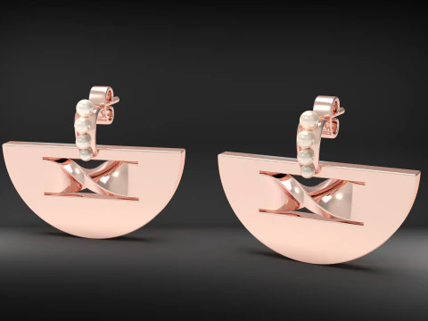A100-49-earings 3D Print Model