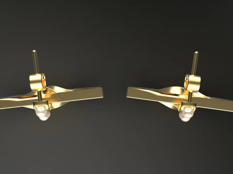 A100-49-earings 3D Print Model