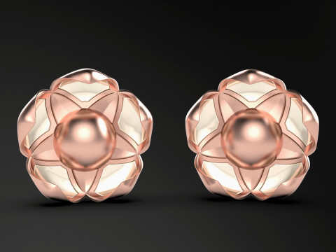 A100-57-earring Modelo de impresión 3D