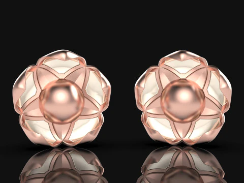 A100-57-earring 3D Print Model