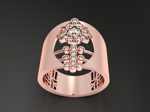 A100-65-ring Modello di stampa 3D