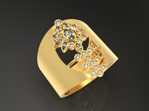 A100-65-ring Modello di stampa 3D