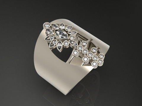 A100-65-ring Modello di stampa 3D