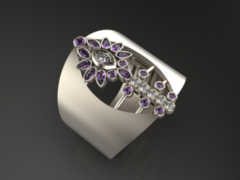 A100-65-ring Modello di stampa 3D