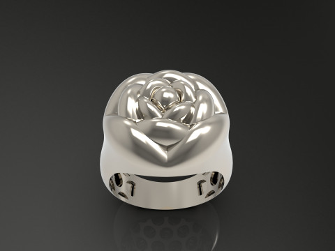 A100-91-ring 3D Print Model