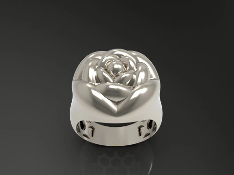 A100-91-ring 3D Print Model