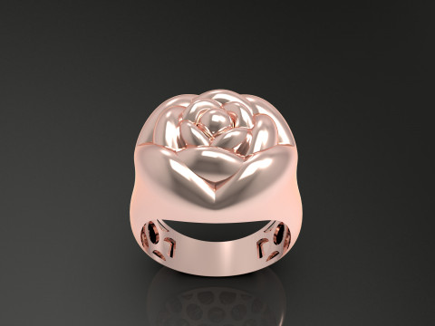 A100-91-ring 3D Print Model