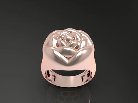 A100-91-ring 3D Print Model