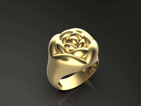 A100-91-ring 3D Print Model