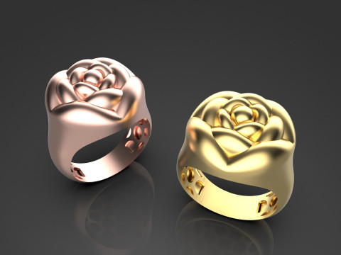 A100-91-ring 3D Print Model