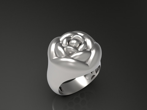 A100-91-ring 3D Print Model