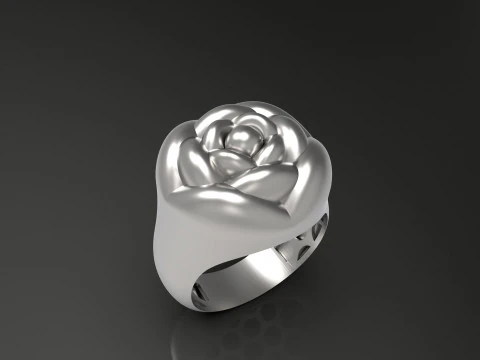 A100-91-ring 3D Print Model