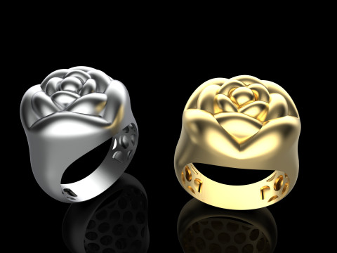 A100-91-ring 3D Print Model