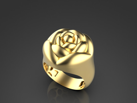 A100-91-ring 3D Print Model