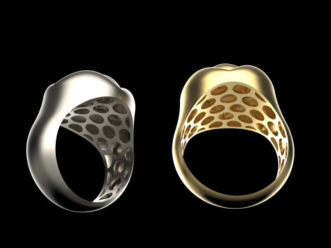 A100-91-ring 3D Print Model