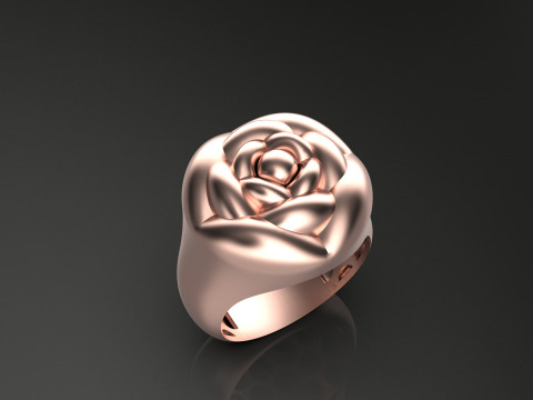 A100-91-ring 3D Print Model