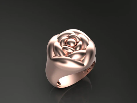 A100-91-ring 3D Print Model