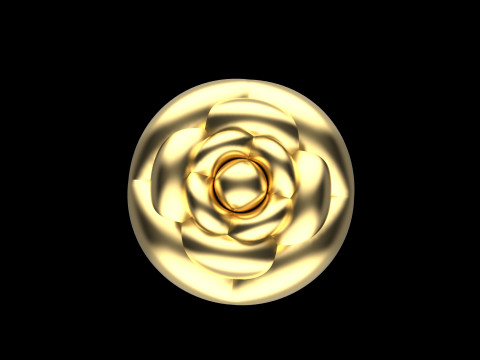 A100-91-ring 3D Print Model