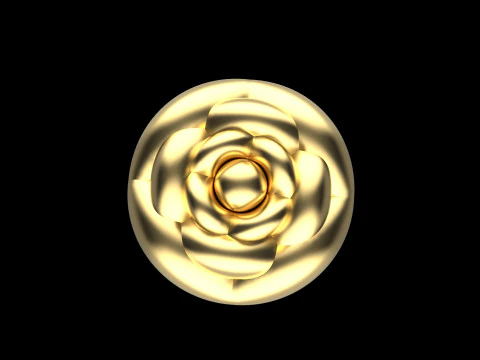 A100-91-ring 3D Print Model