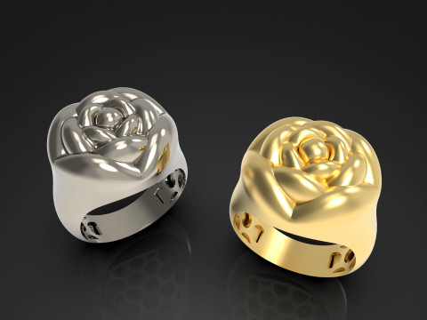 A100-91-ring 3D Print Model