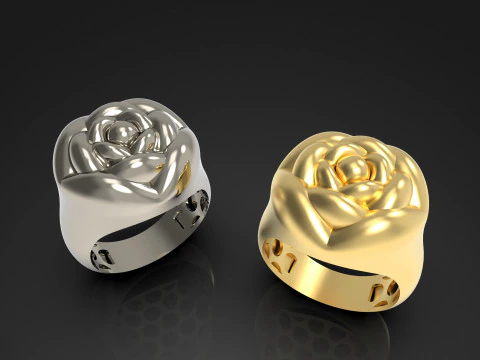 A100-91-ring 3D Print Model