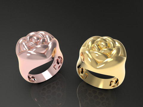 A100-91-ring 3D Print Model