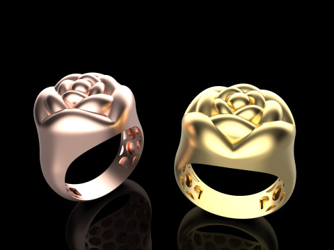 A100-91-ring 3D Print Model
