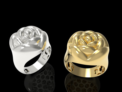 A100-91-ring 3D Print Model