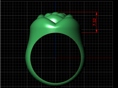 A100-91-ring 3D Print Model