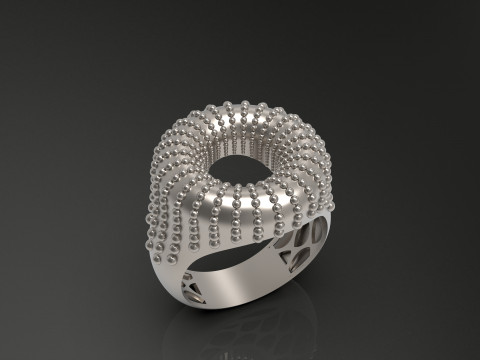 A100-92-ring 3D 打印模型