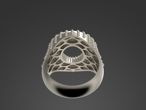 A100-92-ring 3D 打印模型