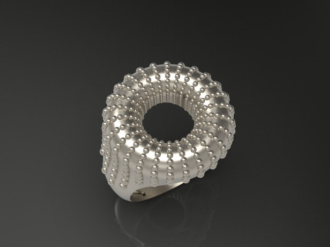 A100-92-ring 3D 打印模型