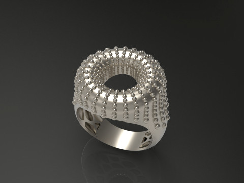 A100-92-ring 3D 打印模型