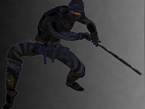 Ninja Kit Model 3D