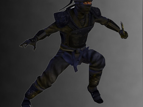 Ninja Kit Model 3D