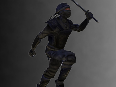 Ninja Kit Model 3D