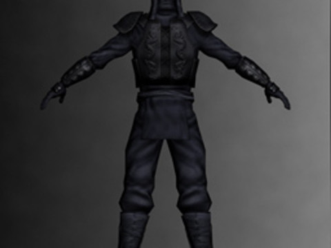 Ninja Kit Model 3D