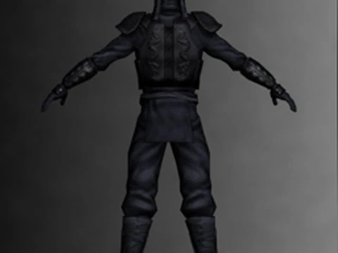 Ninja Kit 3D Model