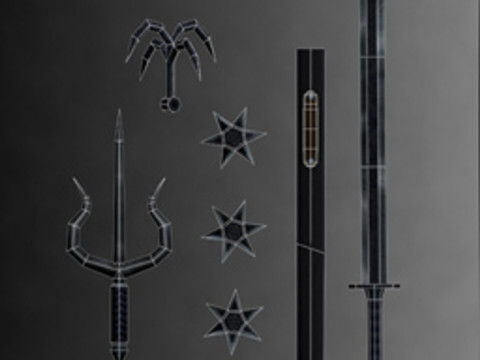 Ninja Kit Model 3D