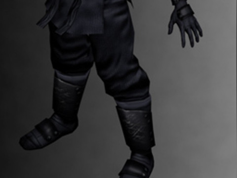 Ninja Kit Model 3D