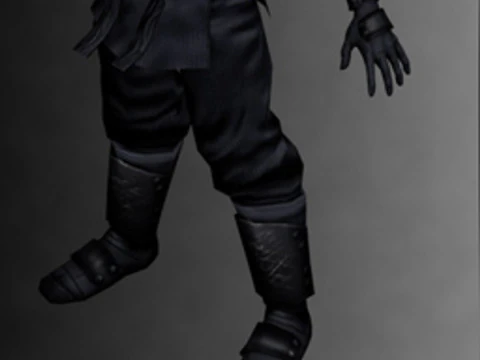 Ninja Kit 3D Model