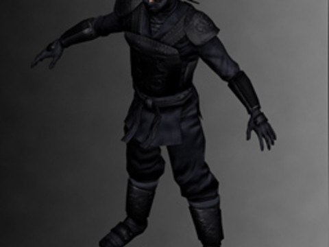 Ninja Kit Model 3D