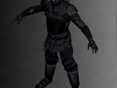 Ninja Kit 3D Model