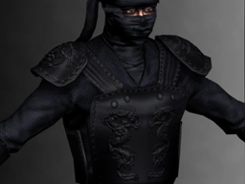 Ninja Kit 3D Model