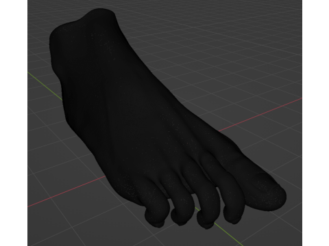 Female Foot - Printable - Scan Based 3D-printmodel