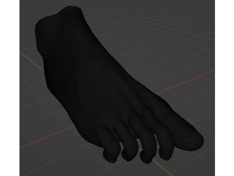 Female Foot - Printable - Scan Based 3D Print Model